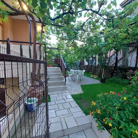 White Grapes Apartman Petrics