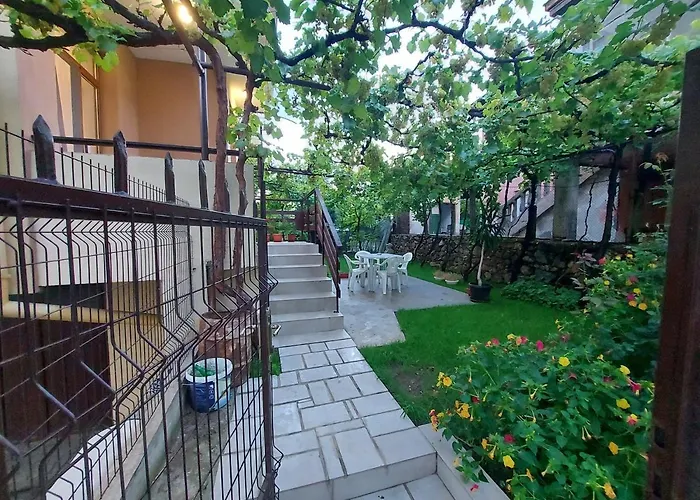 White Grapes Apartament Petrici