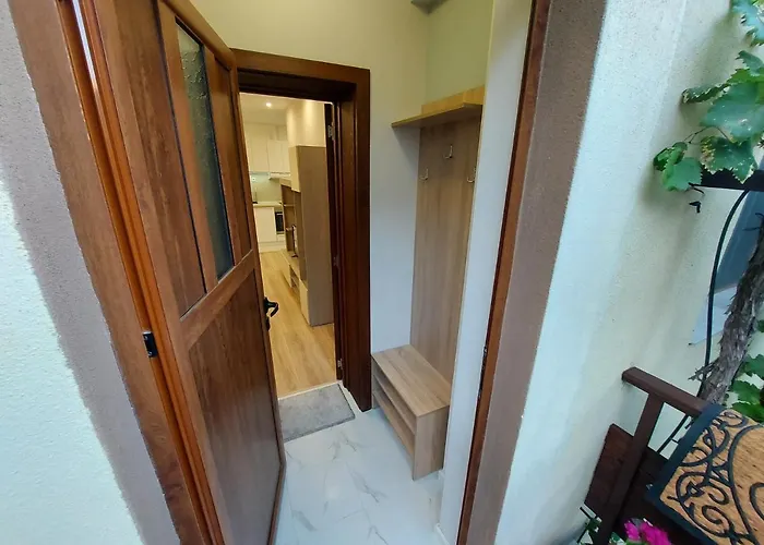 White Grapes Apartament Petrici